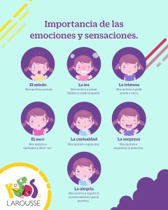 Importancia-de-las-emociones-y-sensaciones